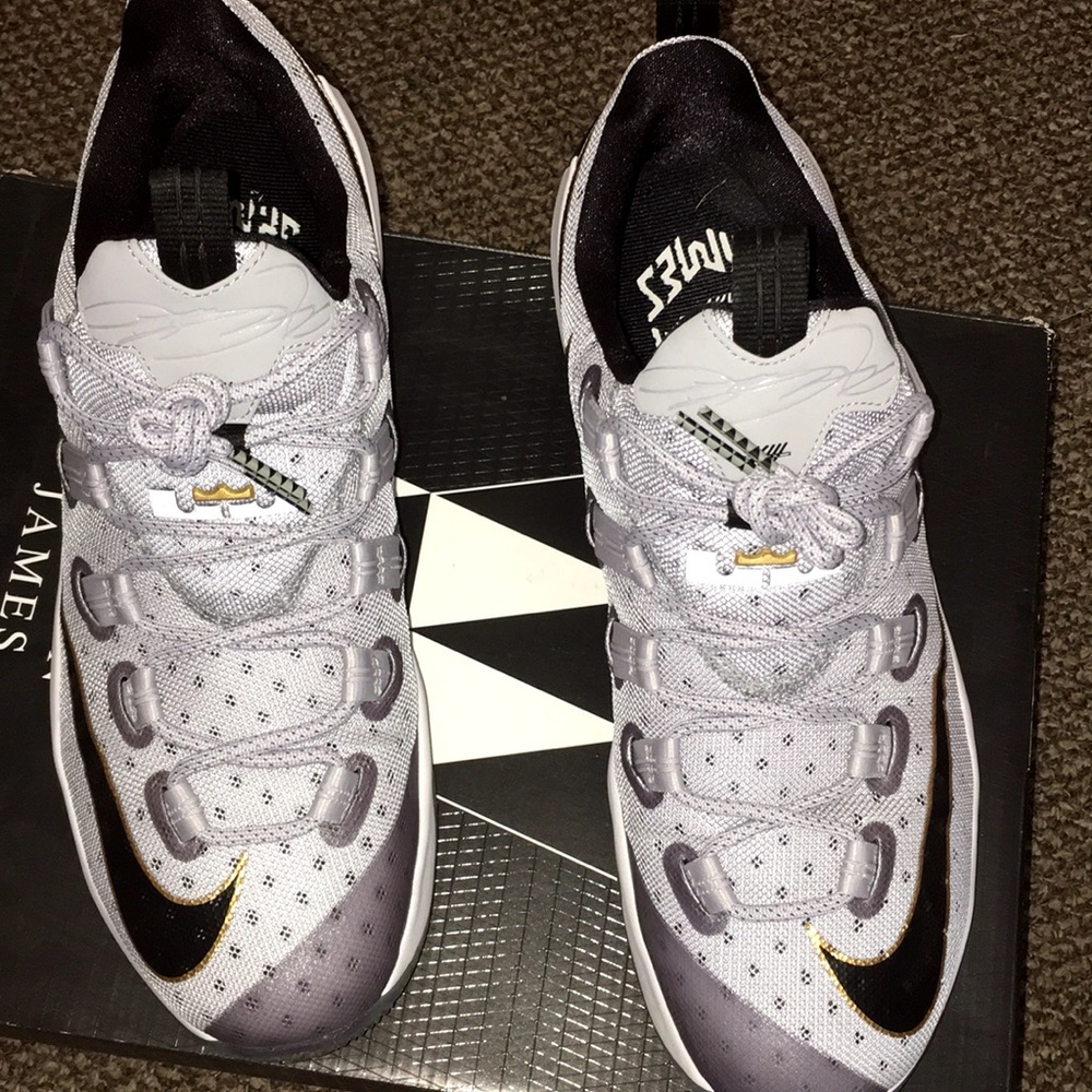 COPY - Lebron 13s